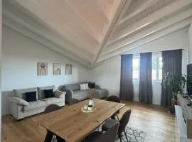Apartment with Jacuzzi near Como Milano FREE PARKING