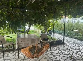 Rooms Struga