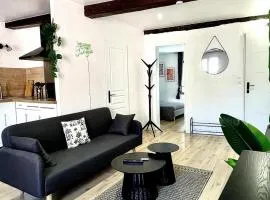 Superbe T2 meublé - Style Jungle - Draguignan