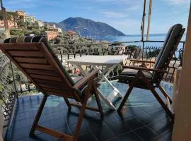 WINDOW WITH VIEW On PORTOFINO PEAK AND CAMOGLI