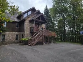 Four Seasons 4 bdrm Hot Tub & Pool Table by Ski Lift