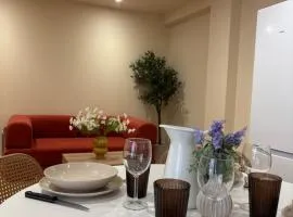 L'Olivier - appartement cozy au centre de Poitiers