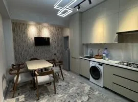Modern Cozy Apartment