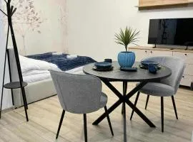 Apartament Bracka 23
