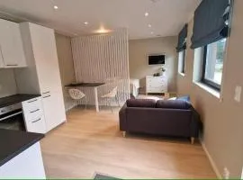 Comfortable apartment with free parking