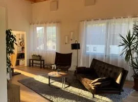 Penthouse 17 Vils