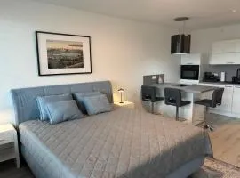 Bellevue FN, Appartement mit See- und Bergsicht