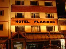 Hotel Flamingo, hotel v destinaci San Carlos de Bariloche
