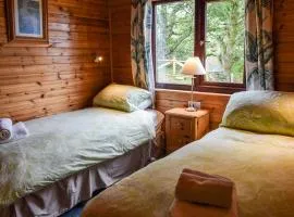 Catkin Lodge - Uk39646