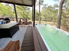 Swim Spa Billiards in Pineforest Spacious Home, hotel in Bastrop
