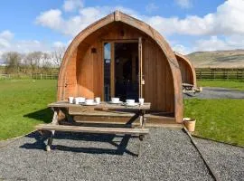 Barn Scar-Uk1394