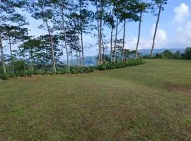 The joglo sekar munduk