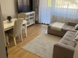 Peaceful & Cozy apartment near city Center