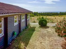 Awesome Home In Hasle With House Sea View
