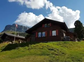 Chalet Birki Axalp