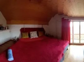 1 Zimmer in Kestenholz