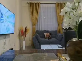 Gee Skykine Airbnbs Kamakis