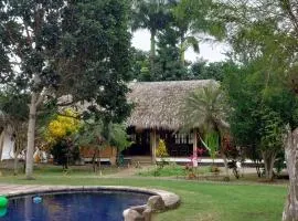 Palms Oasis Montañita