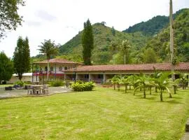 Dreamer Cocora