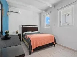 Swimming Pool Pet Welcoming Close To The Shore