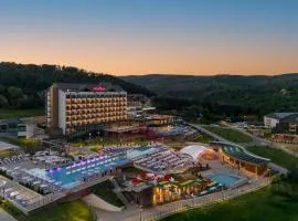 Movenpick Resort and Spa Fruske Terme