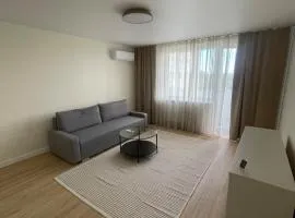 Newly renovated apartment in Vidzgiris