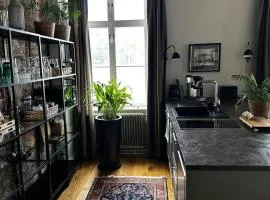 Luxury Apartment in the center