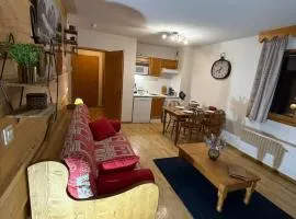 Appartement Samoens Cosy