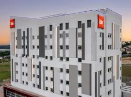 Ibis Aruja