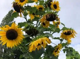 Eco-Retreat-Agritourism