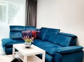 2 Rooms Apartment Naujakiemio str.