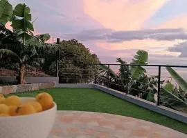Amendoeira House - House in Ponta do Sol