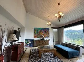 Beautiful apartment near Luzern, view to Rigi,Pilatus Mountain