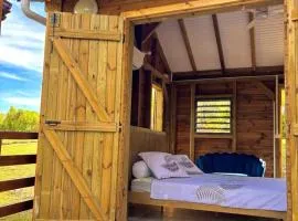 La pause verte bungalow