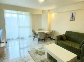 1 bedroom apartment near UNECA