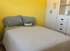 Yellow Cactus Oasis
