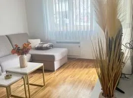 Prestige apartmani Zlatibor-Prestige Forest Resort
