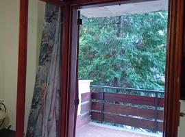 Luna Reale Roccaraso apt, hotel a Roccaraso