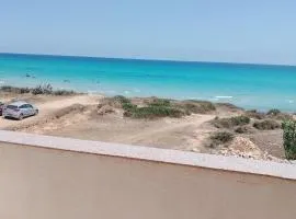 Salim Residence
