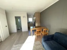 Sunny Tidy Corner in Ellerslie