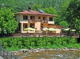 Family Hotel Fedora, beach hotel in Ribarica