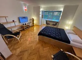 Apartment Catalin