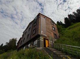 Ayderoom Hotel, hotel Ayder Yaylasiban