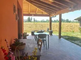 Room & Breakfast Olmo Tondo