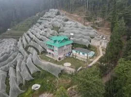 CedarNest by Yoshikahomestays l Forest Boutique Stay l Kufri l Theog l SHlMLA