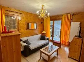 gîte 6 pers RC domaine skiable Grand Massif les Carroz Flaine Morillon Samoens