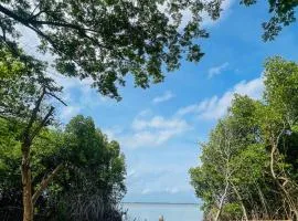 Blue Mangrove lagoon by serenity