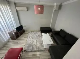 İzmir homes