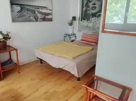 Gorgeous place,center,amusing place