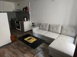 duplex centre ville